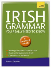 کتاب گرامر ایرلندی Irish Grammar You Really Need to Know