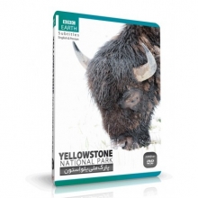 نرم افزار مستند پارک ملی یلو استون YELLOWSTONE