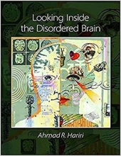 کتاب لوکینگ اینساید دیزوردرد برین Looking Inside the Disordered Brain